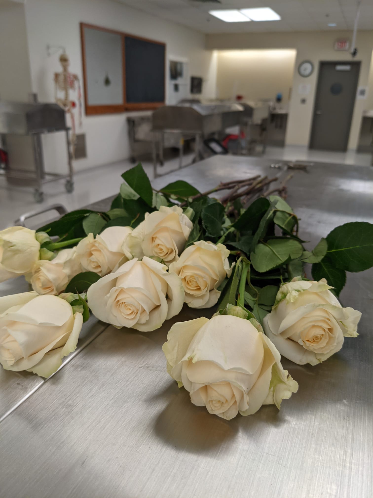 White roses laid on anatomy lab bay in Loyola Stritch.